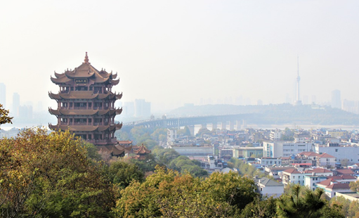 风暴英雄新英雄斯托科夫详细介绍与玩法分析